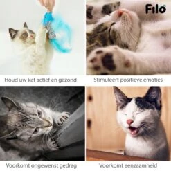 Filo Kattenhengel Set + 12 Kattenspeeltjes – Speelhengels Interactief Kattenspeelgoed – Hengel Kattenspeeltje Kittens - Speelgoed Speelhengel Vis Kat En Kitten 16 Filo Kattenhengel Set + 12 Kattenspeeltjes – Speelhengels Interactief Kattenspeelgoed – Hengel Kattenspeeltje Kittens - Speelgoed Speelhengel Vis Kat En Kitten -Kattenbenodigdheden 1200x1200 403