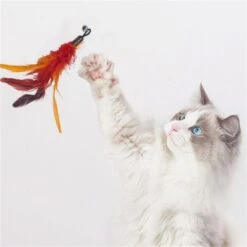 Merkloos Kattenhengel Met 10 Opzetstukjes - Kat Speelhengel Met Veren - Speelgoed Hengel Voor Katten – Kittenspeeltjes Met Veer – Kattenspeelgoed – Katten Speeltjes -Kattenbenodigdheden 1200x1200 409