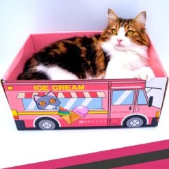 Make Me Purr Kattendoos Van Karton (Ice Cream) - Inclusief Kartonnen Krabmat - Speelgoed Doos Voor Katten Met Krab Mat - Kat Krabpaal Speeltje - Kattenbed Kattenmand Kattenhuis Kattentunnel - Kattenspeelgoed - Kattenspeeltjes - Kitten Speeltjes 12 Make Me Purr Kattendoos Van Karton (Ice Cream) - Inclusief Kartonnen Krabmat - Speelgoed Doos Voor Katten Met Krab Mat - Kat Krabpaal Speeltje - Kattenbed Kattenmand Kattenhuis Kattentunnel - Kattenspeelgoed - Kattenspeeltjes - Kitten Speeltjes -Kattenbenodigdheden 1200x1200 423