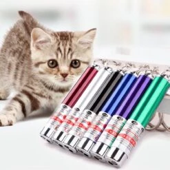 Merkloos 2 In 1 - Laserlampje Voor Katten - Kattenspeelgoed - + Mini Zaklamp 9 Merkloos 2 In 1 - Laserlampje Voor Katten - Kattenspeelgoed - + Mini Zaklamp -Kattenbenodigdheden 1200x1200 438