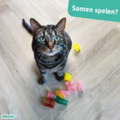 Moowi - Springveren 30 Stuks - Kat - Kattenveertjes - Kattenspeelgoed 9 Moowi - Springveren 30 Stuks - Kat - Kattenveertjes - Kattenspeelgoed -Kattenbenodigdheden 1200x1200 439
