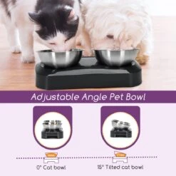 Nobleza Katten Voerbakjes - Ergonomische Dubbele Voerbak - Anti Braak Voerbak Voor Katten - Zwart - Dubbel - RVS -Kattenbenodigdheden 1200x1200 454