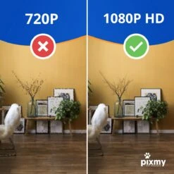 PIXMY - Automatische Voerbak Kat - 4L - Wi-Fi - Met App En Full HD Camera - Voerbak Kat -Kattenbenodigdheden 1200x1200 462