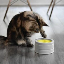 BeOneBreed Intellikatt - Slowfeeder Voor Katten - Voerpuzzel Aanbevolen Door Dierenartsen En Kattengedragsdeskundigen -Kattenbenodigdheden 1200x1200 475