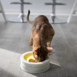 BeOneBreed Intellikatt - Slowfeeder Voor Katten - Voerpuzzel Aanbevolen Door Dierenartsen En Kattengedragsdeskundigen -Kattenbenodigdheden 1200x1200 478