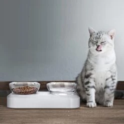 Behave Dubbele Voerbak - Drinkbak - Katten - Verstelbaar - Wit 12 Behave Dubbele Voerbak - Drinkbak - Katten - Verstelbaar - Wit -Kattenbenodigdheden 1200x1200 489