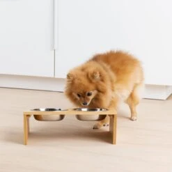Navaris Verhoogd Dubbel Dieren Voedingsstation - 2 Kommen Voor Katten En Kleine Honden - Roestvrij Staal - Verhoogde Bamboe Standaard -Kattenbenodigdheden 1200x1200 493