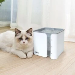 Nobleza USB Drinkfontein Voor Hond/Kat - 2L - Incl. 2 Filters - Wit -Kattenbenodigdheden 1200x1200 497