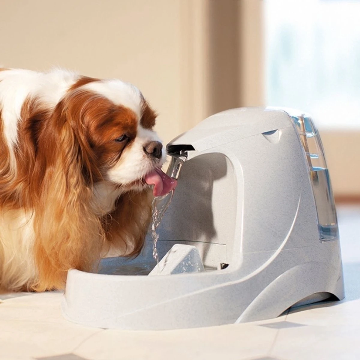 Petsafe Drinkwell Platinum - Drinkfontein - 5 L 4 Petsafe Drinkwell Platinum - Drinkfontein - 5 L - Afbeelding 2