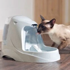 Petsafe Drinkwell Platinum - Drinkfontein - 5 L 24 Petsafe Drinkwell Platinum - Drinkfontein - 5 L -Kattenbenodigdheden 1200x1200 501