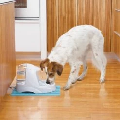 Petsafe Drinkwell Platinum - Drinkfontein - 5 L 30 Petsafe Drinkwell Platinum - Drinkfontein - 5 L -Kattenbenodigdheden 1200x1200 503