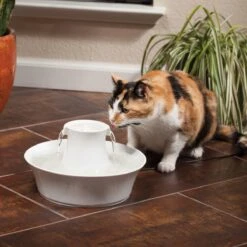 Petsafe Drinkwell Ceramic Avalon - Drinkfontein - 2 L -Kattenbenodigdheden 1200x1200 508