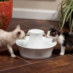 Petsafe Drinkwell Ceramic Avalon - Drinkfontein - 2 L -Kattenbenodigdheden 1200x1200 509