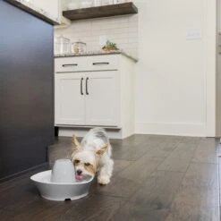 PetSafe® Streamside Ceramic Pet Fountain - Keramische Drinkfontein Voor Katten En Kleine Honden - Water Borrelt Zacht Over De Toren - Door Het Design Van Alle Kanten Bereikbaar - 1,8 Liter - PetSafe Streamside -Kattenbenodigdheden 1200x1200 514