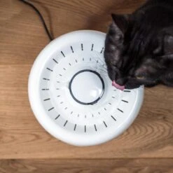 TrevoPet® Drinkfontein Kat - Waterfontein Kat - Kattenfontein - Fluisterstil - Drinkfontein - Drinkbak Kat - 2.5 Liter - Inclusief Filter - Wit -Kattenbenodigdheden 1200x1200 526