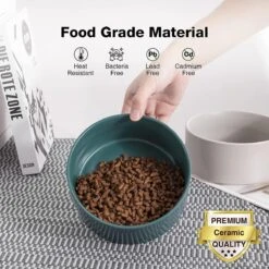 GIZMO 2x Voerbak Kat - 400 Ml - Groen - Keramische Drink- & Voerbakken Met Standaard - 13 Cm - 2 Stuks -Kattenbenodigdheden 1200x1200 529