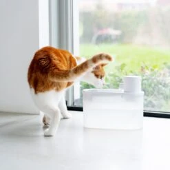 Hoopo® Agua - DRAADLOZE Waterfontein Katten - SMART Waterfontein Katten - UVC Disinfectie - 2 Liter - Automatische Katten Fontein -Kattenbenodigdheden 1200x1200 535