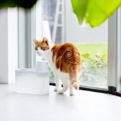 Hoopo® Agua - DRAADLOZE Waterfontein Katten - SMART Waterfontein Katten - UVC Disinfectie - 2 Liter - Automatische Katten Fontein -Kattenbenodigdheden 1200x1200 536