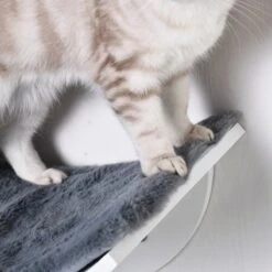 Merkloos Paws And Claws - Cat Shelf – Hangmat Kat – Kattenplank - Kattenbed - Wasbaar – Wandmontage – MDF - Wit -Kattenbenodigdheden 1200x1200 561