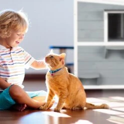 Relaxdays Kattenhuis Buiten - Groot Kattenhok Binnen - Hoog Kattenmeubel Grijs Hout - Tuin 16 Relaxdays Kattenhuis Buiten - Groot Kattenhok Binnen - Hoog Kattenmeubel Grijs Hout - Tuin -Kattenbenodigdheden 1200x1200 563