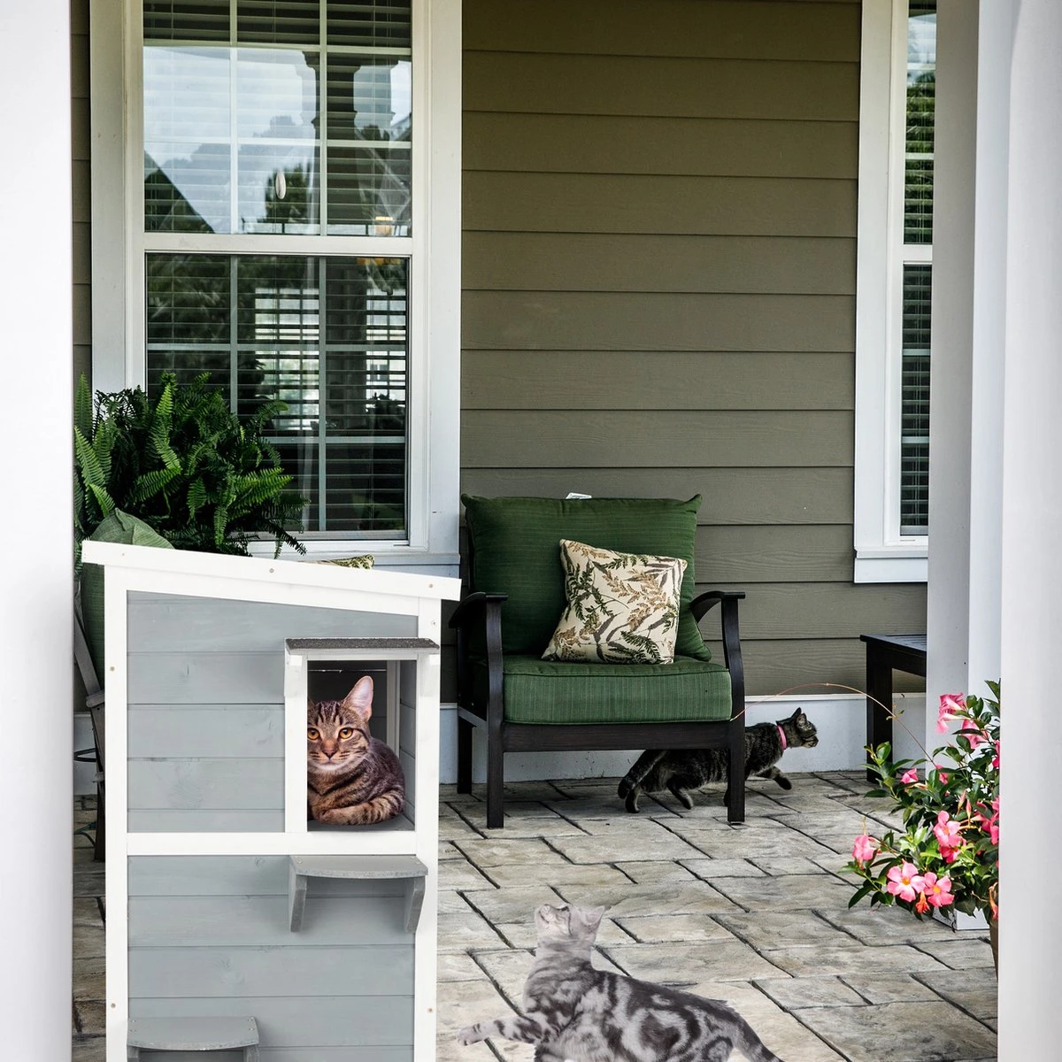 Relaxdays Kattenhuis Buiten - Groot Kattenhok Binnen - Hoog Kattenmeubel Grijs Hout - Tuin 9 Relaxdays Kattenhuis Buiten - Groot Kattenhok Binnen - Hoog Kattenmeubel Grijs Hout - Tuin - Afbeelding 7