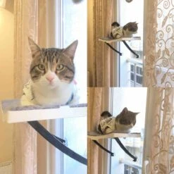 Hobipets - Kattenmand Raam - 5 Zuignappen - Hangmat Kat Raam -Kattenbenodigdheden 1200x1200 567