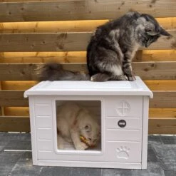 RHRQuality Kattenhuis Voor Binnen En Buiten Kattenhok Villa De Luxe Wit 60cm -Kattenbenodigdheden 1200x1200 585