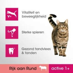 Perfect Fit Active 1+ Katten Droogvoer - Rund - 4 X 750 Gr 11 Perfect Fit Active 1+ Katten Droogvoer - Rund - 4 X 750 Gr -Kattenbenodigdheden 1200x1200 6
