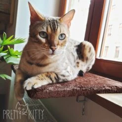 PRETTY KITTY Cat Window Bed 32x41cm: Knuffelig Kattenbed Voor De Vensterbank, Premium Kattenbed Fluffy Voor Het Raam, Vensterbank Kat - Wasbaar, Vensterbank Kat -Kattenbenodigdheden 1200x1200 629