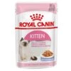Royal Canin Kitten In Jelly - Kattenvoer - 1020 G -Kattenbenodigdheden 1200x1200 67