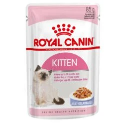 Royal Canin Kitten In Jelly - Kattenvoer - 1020 G