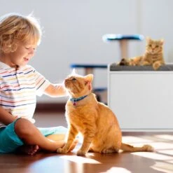 Relaxdays Kattenbak Ombouw - Met Zitkussen - Kattenhuis Wit - Kattenmeubel - Kattenkast -Kattenbenodigdheden 1200x1200 675