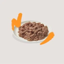 Edgard & Cooper Kattenvoer Adult Multipack Pate 8 X 85 Gr -Kattenbenodigdheden 1200x1200 70