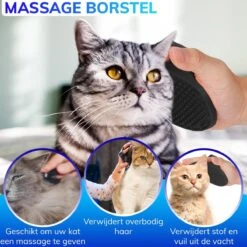 Kattenhangmat - Hangmat Kat- Kattenhangmat Raam – Kattenbed - Kattenhangmand - Kattenkussen -Kattenbenodigdheden 1200x1200 700