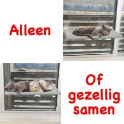 Merkloos Kattenhangmat - Kattenbed - Hangmat Kat Raam Ook Voor Radiator En Deur - Kattenmand Raam En Radiator - Katten Hangmat - Radiatorhangmat Kat Kattenstoel - Tijdelijk Met Extra Hangmat Hoes 18 Merkloos Kattenhangmat - Kattenbed - Hangmat Kat Raam Ook Voor Radiator En Deur - Kattenmand Raam En Radiator - Katten Hangmat - Radiatorhangmat Kat Kattenstoel - Tijdelijk Met Extra Hangmat Hoes -Kattenbenodigdheden 1200x1200 708