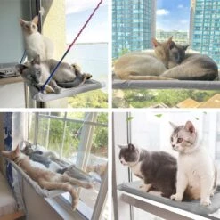 Merkloos Kattenhangmat - Kattenbed - Hangmat Kat Raam Ook Voor Radiator En Deur - Kattenmand Raam En Radiator - Katten Hangmat - Radiatorhangmat Kat Kattenstoel - Tijdelijk Met Extra Hangmat Hoes 21 Merkloos Kattenhangmat - Kattenbed - Hangmat Kat Raam Ook Voor Radiator En Deur - Kattenmand Raam En Radiator - Katten Hangmat - Radiatorhangmat Kat Kattenstoel - Tijdelijk Met Extra Hangmat Hoes -Kattenbenodigdheden 1200x1200 710