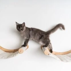 RHRQuality Wandmeubel Wandmontage Klimmuur Kat 53 X 43cm Luxe Hangmat XXL Creme Klim Wand Muur Krabpaal Katten Muurbevestiging 12 RHRQuality Wandmeubel Wandmontage Klimmuur Kat 53 X 43cm Luxe Hangmat XXL Creme Klim Wand Muur Krabpaal Katten Muurbevestiging -Kattenbenodigdheden 1200x1200 712