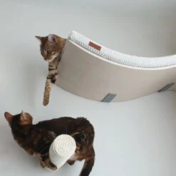 COSY AND DOZY Cat Shelf Deluxe WIT – Hangmat Kat – Maple Hout - 90 X 41 Cm - Kattenplank - Katten Muur 15 COSY AND DOZY Cat Shelf Deluxe WIT – Hangmat Kat – Maple Hout - 90 X 41 Cm - Kattenplank - Katten Muur -Kattenbenodigdheden 1200x1200 731