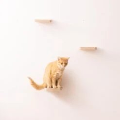 Navaris Katten Klimmuur 3 Tredes - 18 X 18 X 1,5 Cm Per Plankje - Katten Klimwand Van Hout - Inclusief Bevestigingsmateriaal 12 Navaris Katten Klimmuur 3 Tredes - 18 X 18 X 1,5 Cm Per Plankje - Katten Klimwand Van Hout - Inclusief Bevestigingsmateriaal -Kattenbenodigdheden 1200x1200 736