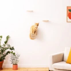 Navaris Katten Klimmuur 3 Tredes - 18 X 18 X 1,5 Cm Per Plankje - Katten Klimwand Van Hout - Inclusief Bevestigingsmateriaal 13 Navaris Katten Klimmuur 3 Tredes - 18 X 18 X 1,5 Cm Per Plankje - Katten Klimwand Van Hout - Inclusief Bevestigingsmateriaal -Kattenbenodigdheden 1200x1200 737