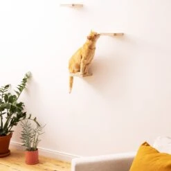 Navaris Katten Klimmuur 3 Tredes - 18 X 18 X 1,5 Cm Per Plankje - Katten Klimwand Van Hout - Inclusief Bevestigingsmateriaal 14 Navaris Katten Klimmuur 3 Tredes - 18 X 18 X 1,5 Cm Per Plankje - Katten Klimwand Van Hout - Inclusief Bevestigingsmateriaal -Kattenbenodigdheden 1200x1200 738