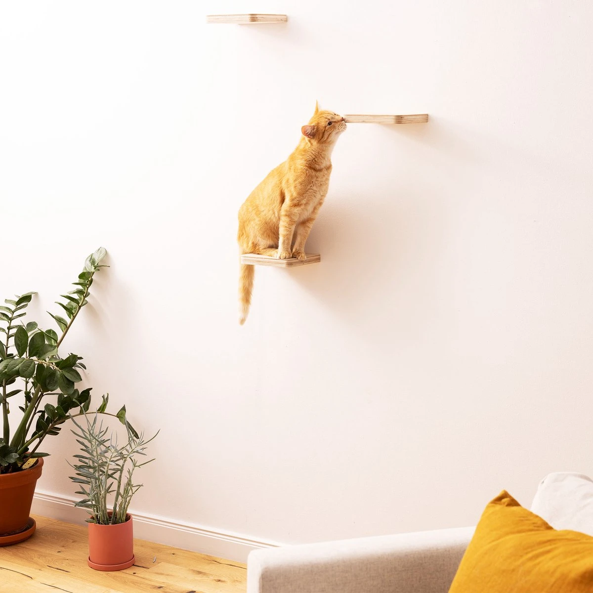 Navaris Katten Klimmuur 3 Tredes - 18 X 18 X 1,5 Cm Per Plankje - Katten Klimwand Van Hout - Inclusief Bevestigingsmateriaal 8 Navaris Katten Klimmuur 3 Tredes - 18 X 18 X 1,5 Cm Per Plankje - Katten Klimwand Van Hout - Inclusief Bevestigingsmateriaal - Afbeelding 7