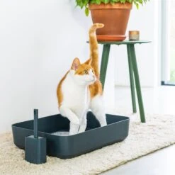Hoopo® Poh Kattenbak Grijs - Open Kattenbak - Design Kattenbak - Kattenbakschep - 50x37.5x12.7 Cm - Grote Kattenbak 10 Hoopo® Poh Kattenbak Grijs - Open Kattenbak - Design Kattenbak - Kattenbakschep - 50x37.5x12.7 Cm - Grote Kattenbak -Kattenbenodigdheden 1200x1200 786