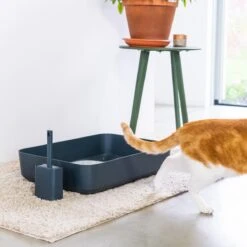 Hoopo® Poh Kattenbak Grijs - Open Kattenbak - Design Kattenbak - Kattenbakschep - 50x37.5x12.7 Cm - Grote Kattenbak 13 Hoopo® Poh Kattenbak Grijs - Open Kattenbak - Design Kattenbak - Kattenbakschep - 50x37.5x12.7 Cm - Grote Kattenbak -Kattenbenodigdheden 1200x1200 789