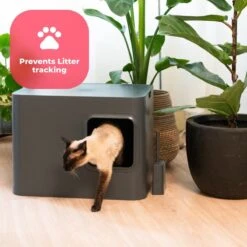 Hoopo® Dome Kattenbak Grijs - Kattenbak - Kattenbakschep - Kattenbakmat 19 Hoopo® Dome Kattenbak Grijs - Kattenbak - Kattenbakschep - Kattenbakmat -Kattenbenodigdheden 1200x1200 796