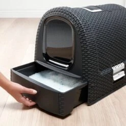 Curver Kattenbak - Antraciet - 51 X 38,5 X 39,5 Cm 22 Curver Kattenbak - Antraciet - 51 X 38,5 X 39,5 Cm -Kattenbenodigdheden 1200x1200 880