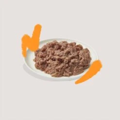 Kattenbenodigdheden -Kattenbenodigdheden 1200x1200 90