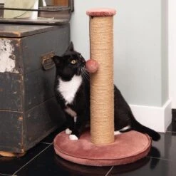 Designed By Lotte Yenna - Krabpaal - Roze - 35x35x50 Cm -Kattenbenodigdheden 1200x1200 908