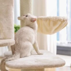 Songmics PCT01M Krabpaal Met XXL-uitkijkplatform, Liggend Hol, Grote Knuffelgrot, Verstelbare Elementen, Extra Dikke Stammen Volledig Gewikkeld In Sisal, Stabiel, Beige 18 Songmics PCT01M Krabpaal Met XXL-uitkijkplatform, Liggend Hol, Grote Knuffelgrot, Verstelbare Elementen, Extra Dikke Stammen Volledig Gewikkeld In Sisal, Stabiel, Beige -Kattenbenodigdheden 1200x1200 911