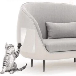 Bescherming Tegen Krab Schade Van Katten - 2 Stuks - Konijnen - Honden - Meubel Bescherming - Cat Scratchers - Furniture - Couch Protector - Katten Nagels - Huisdieren Veiligheid - Meubel - Interieur 17 Bescherming Tegen Krab Schade Van Katten - 2 Stuks - Konijnen - Honden - Meubel Bescherming - Cat Scratchers - Furniture - Couch Protector - Katten Nagels - Huisdieren Veiligheid - Meubel - Interieur -Kattenbenodigdheden 1200x1200 974